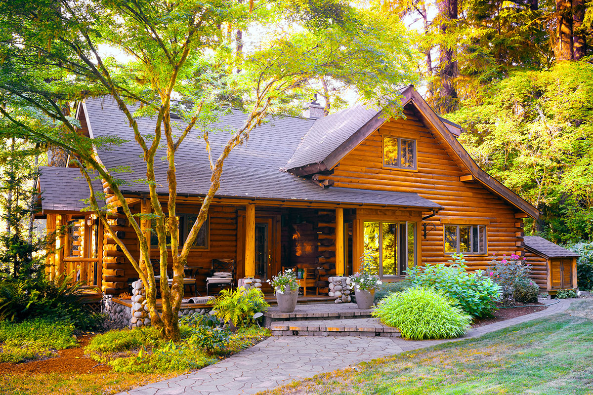 cabin landscape design cabin exterior landscaping