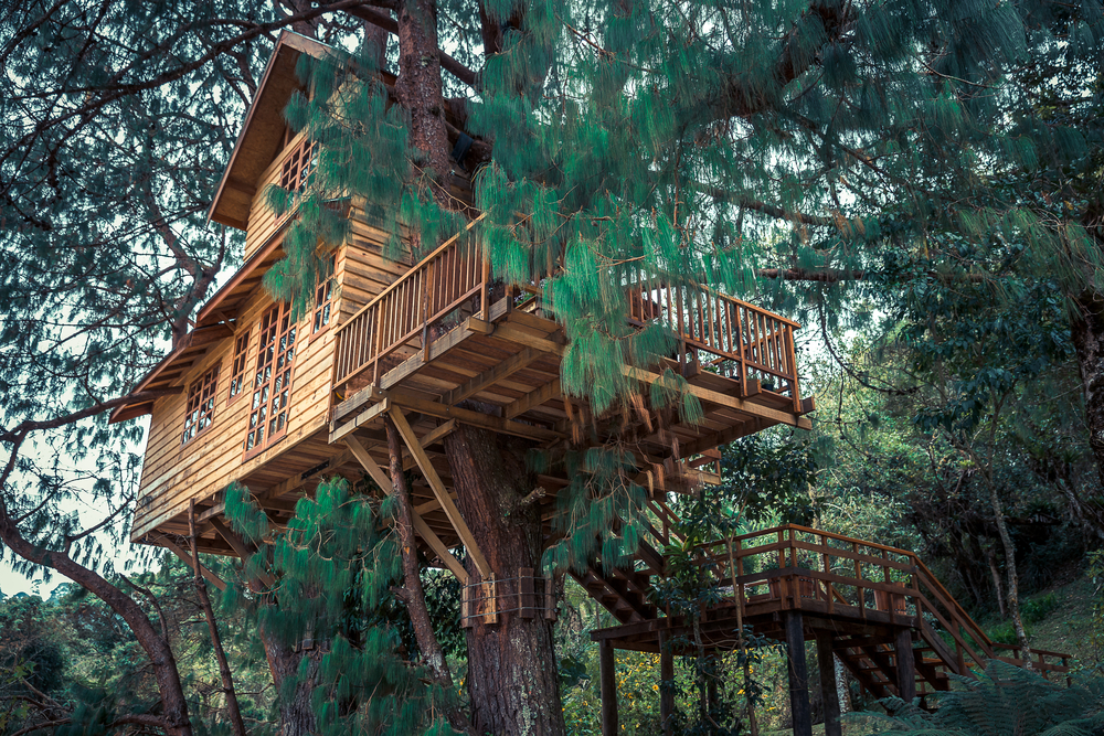 romantic airbnb treehouse rentals