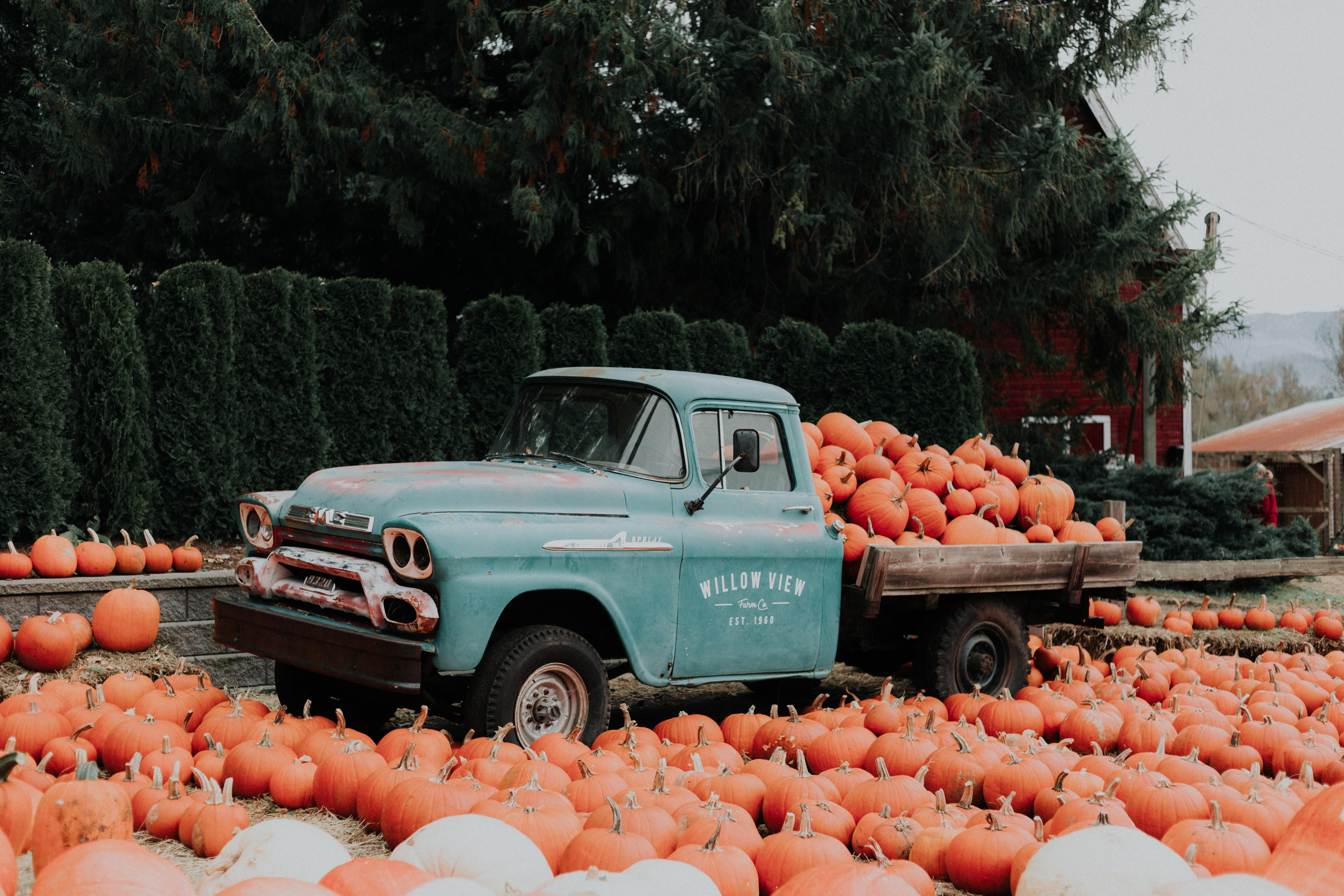 pumpkin patch pumpkins in a green truck