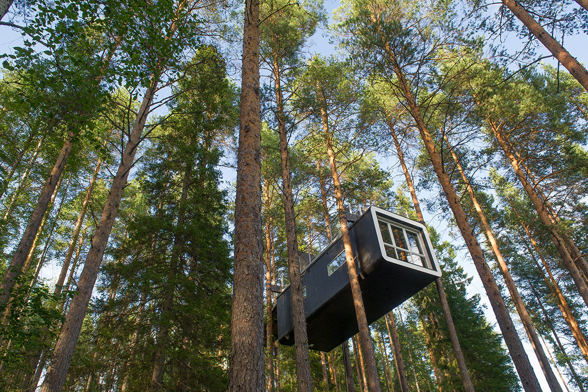 most unique treehouse in the world