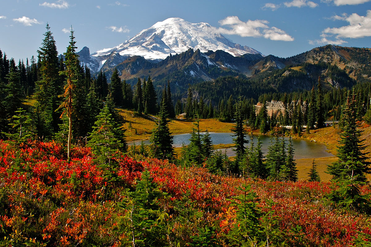 Washington Mount Rainier National Park