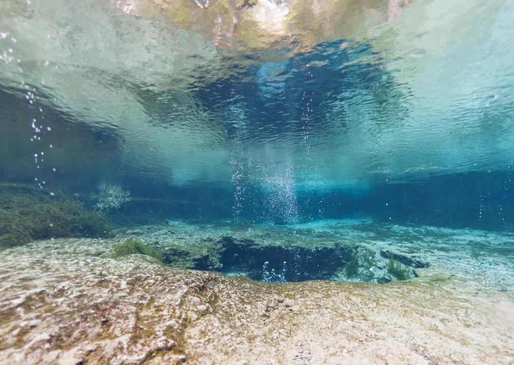 cave diving at Devil's Cave System in Ginnie Springs FL
