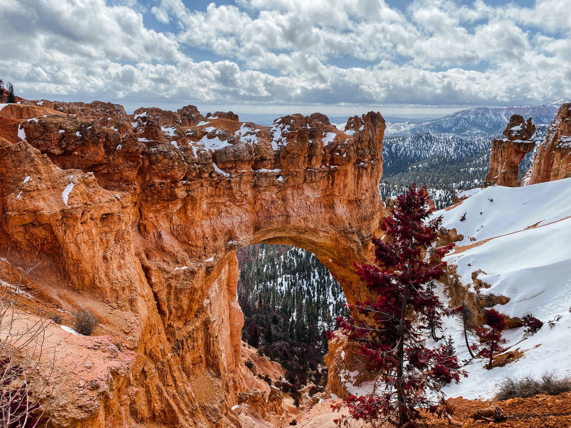 bryce canyon national park in the snow