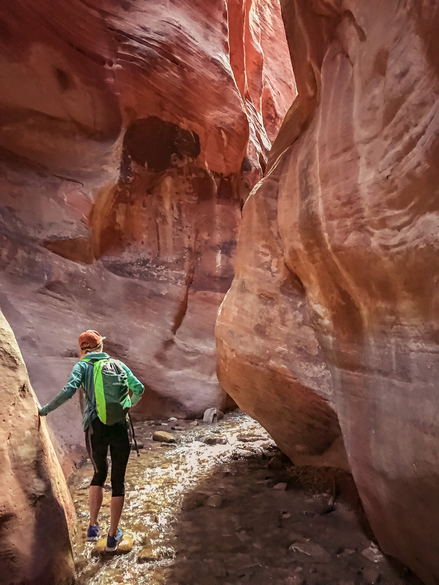 hiking in grand staircase-escalante national monument