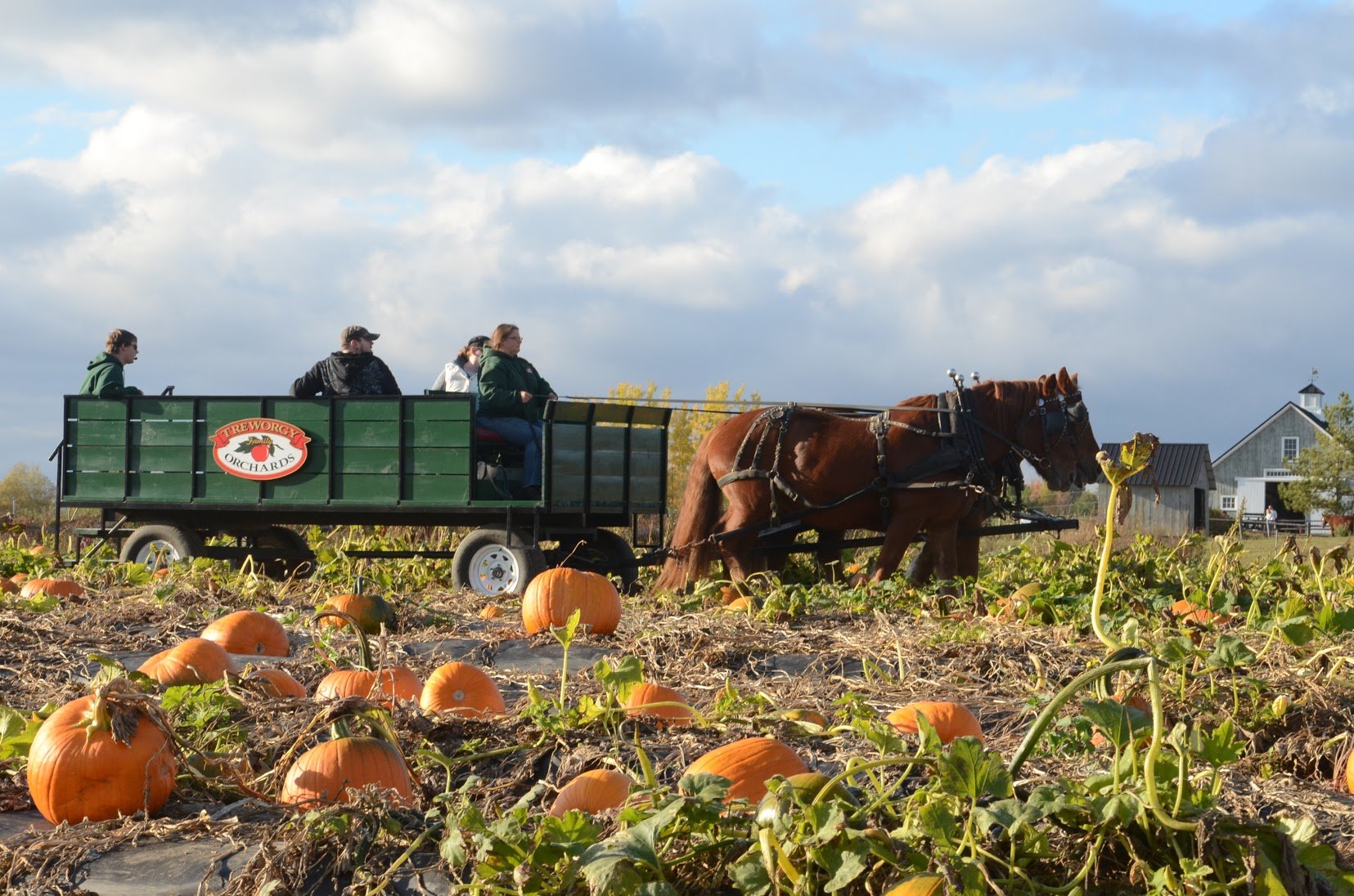 Treworgy Family Orchards best pumpkin patch in Maine