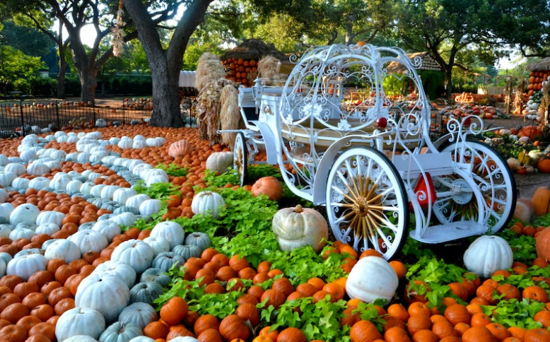 Dallas Arboretum Pumpkin Village best pumpkin patch in Texas