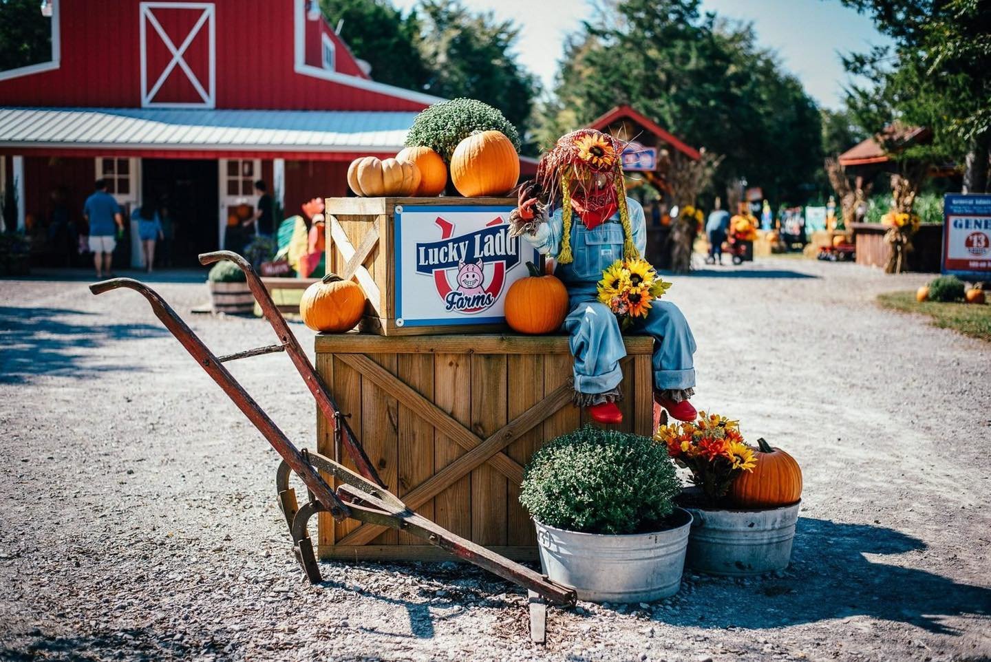 Lucky Ladd Farm best pumpkin patch in Tennessee