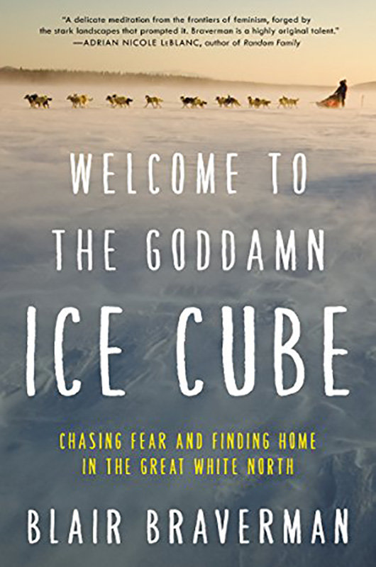 gifts for outdoor enthusiasts Welcome to the Goddamn Ice Cube book