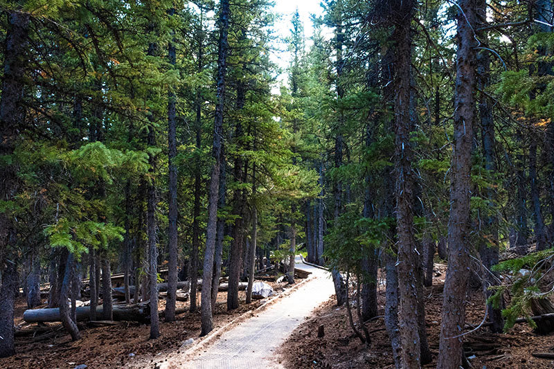 Great basin national park trail