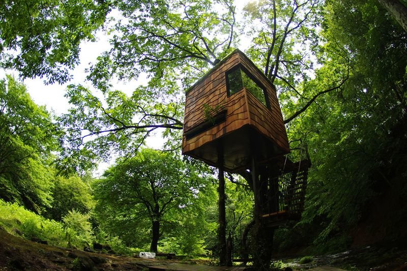 unique treehouses the tokyo treehouse