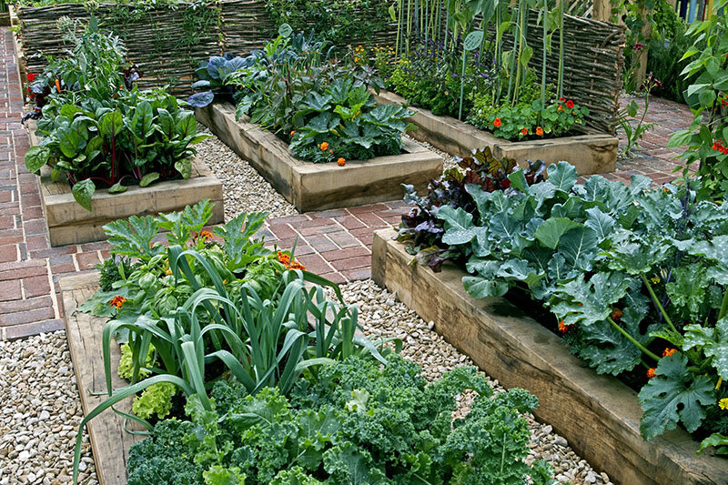garden beds filled with vegetables, herbs and plants