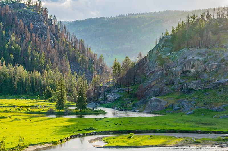 Sough Creek Campground in Yellowstone National Park