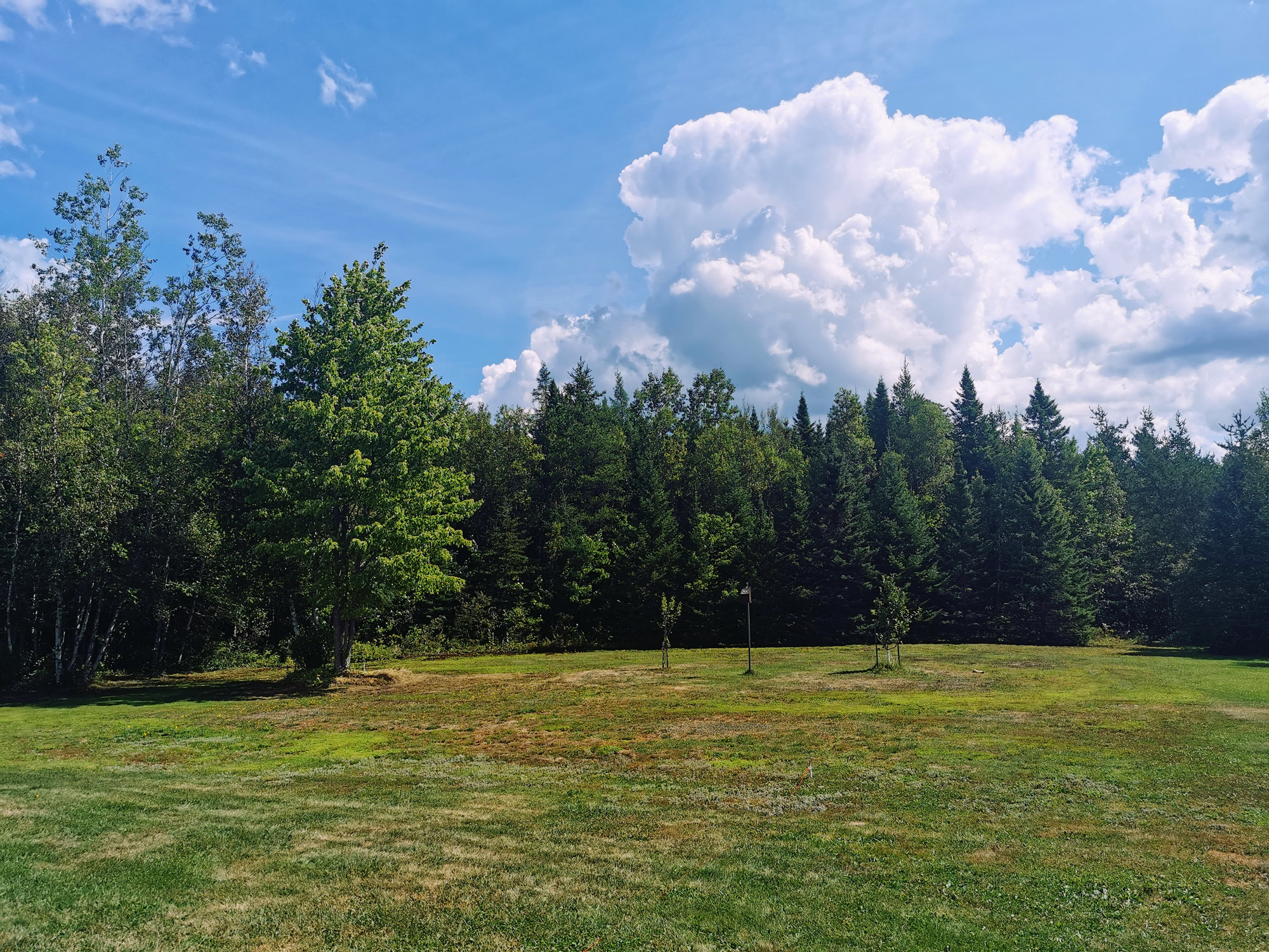 lots and land for sale