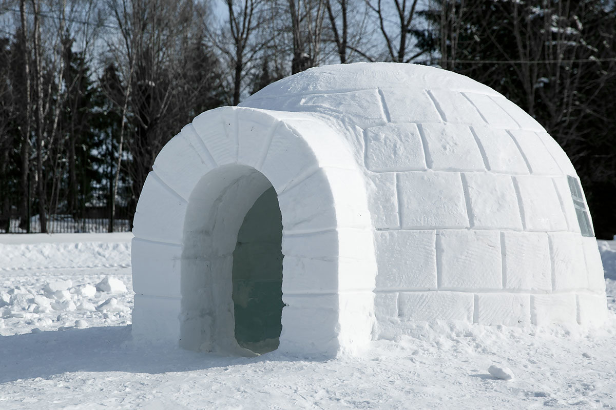 snow day activities icy igloo